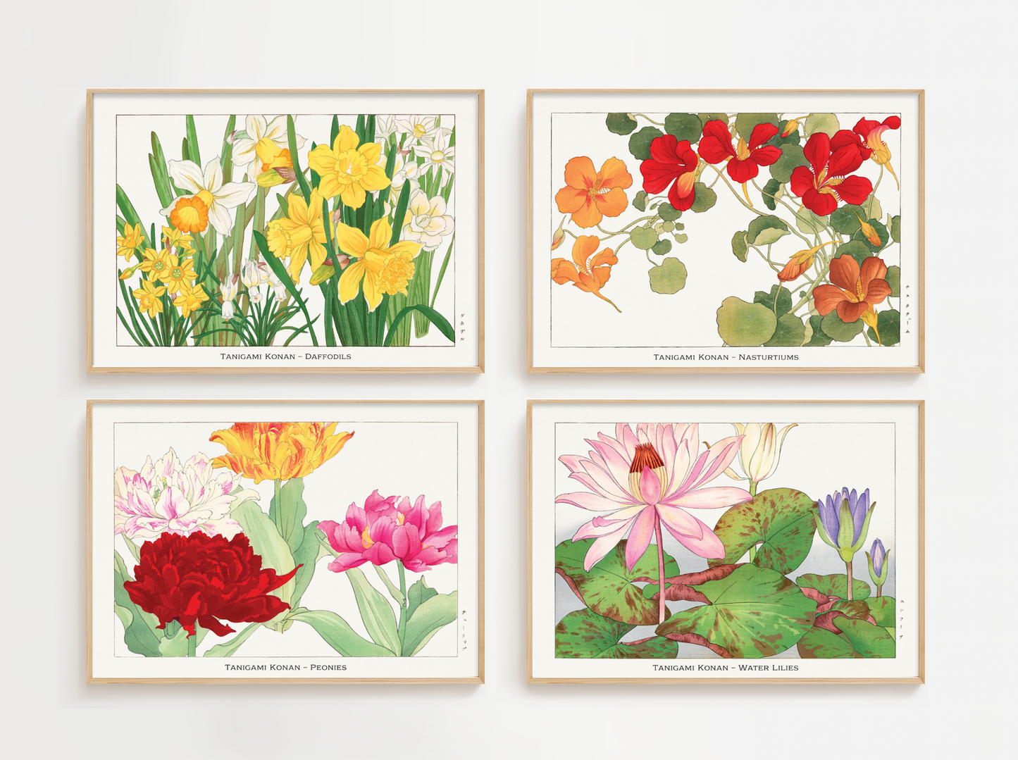 Nasturtium Art Print – Japanese Wall Art