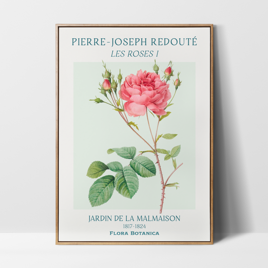 Pierre Joseph Redouté – Les Roses I Art Print