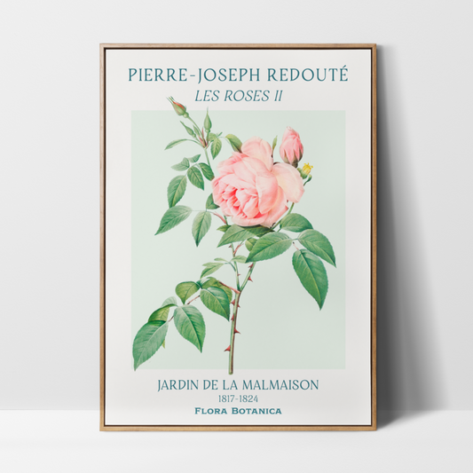 Pierre Joseph Redouté – Les Roses II Art Print