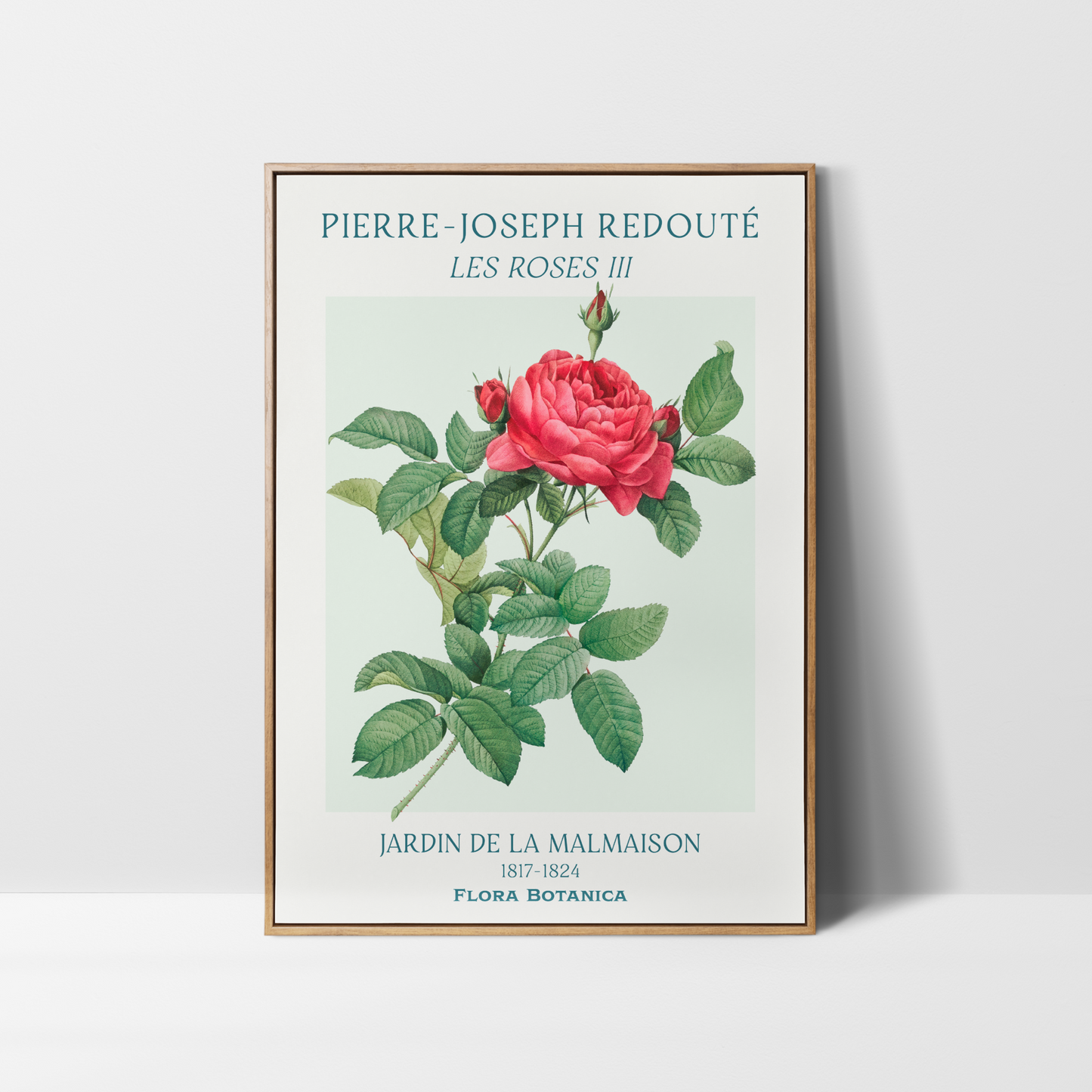 Pierre Joseph Redouté – Les Roses Art Print Trio
