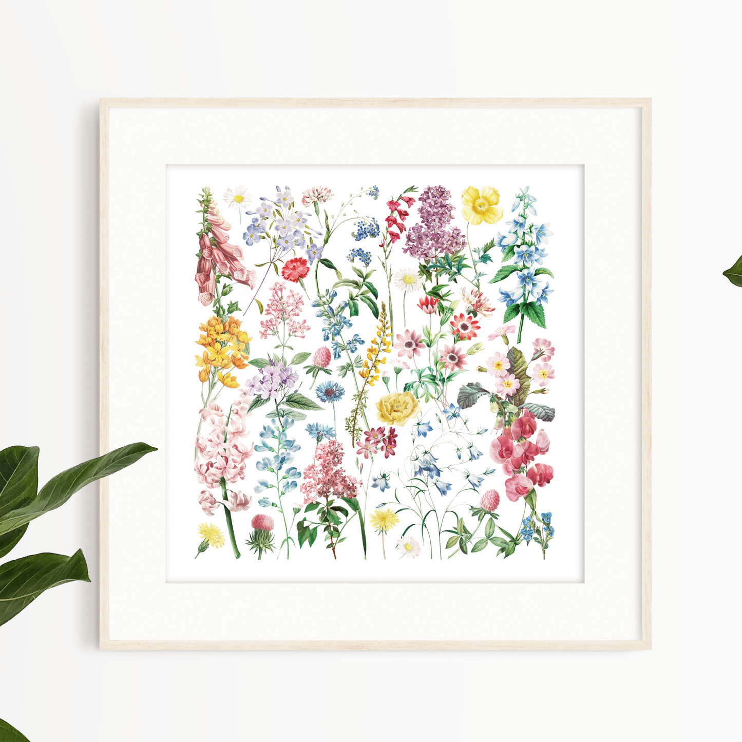Wild Flowers – Square Giclée Art Print