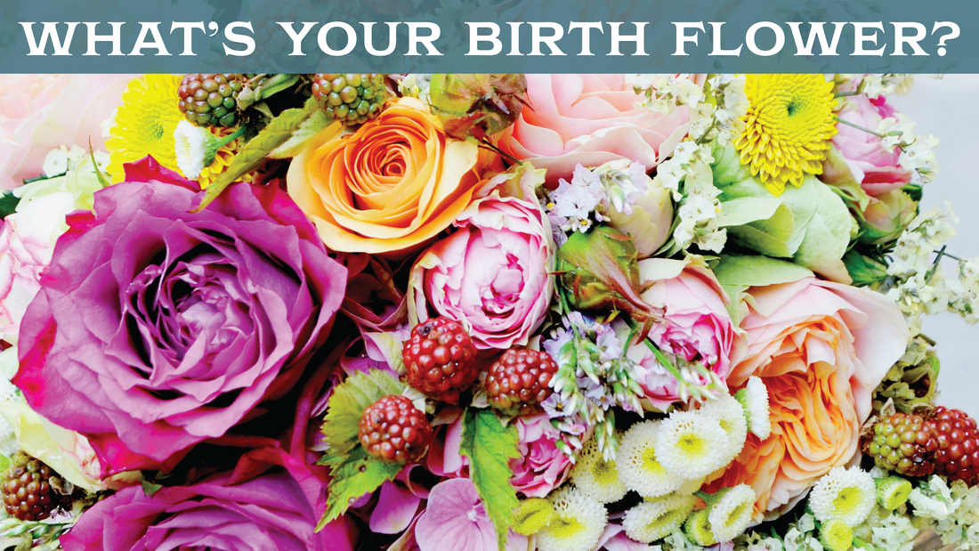 What's Your Birth Flower and What It Means For You