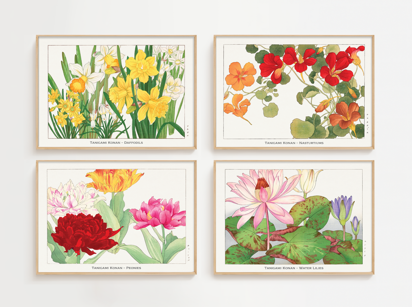 Daffodil Print – Japanese Art Print