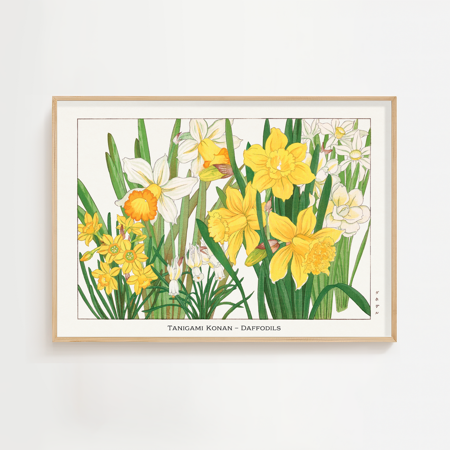 Daffodil Print – Japanese Art Print
