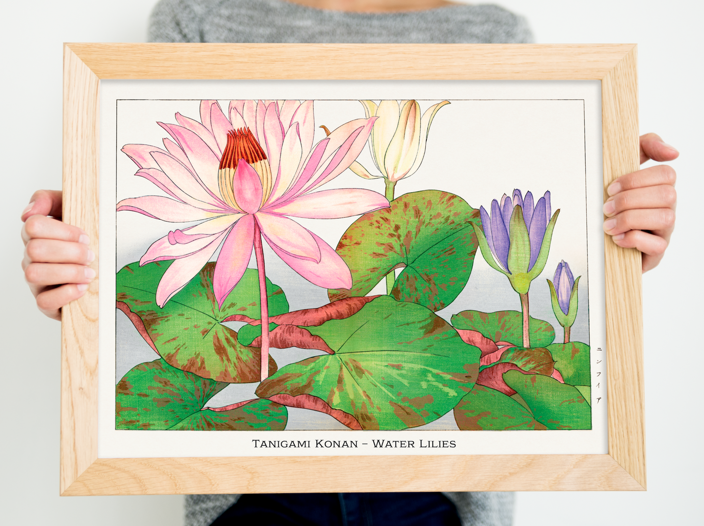 Water Lily Art Print – Japanese Wall Art