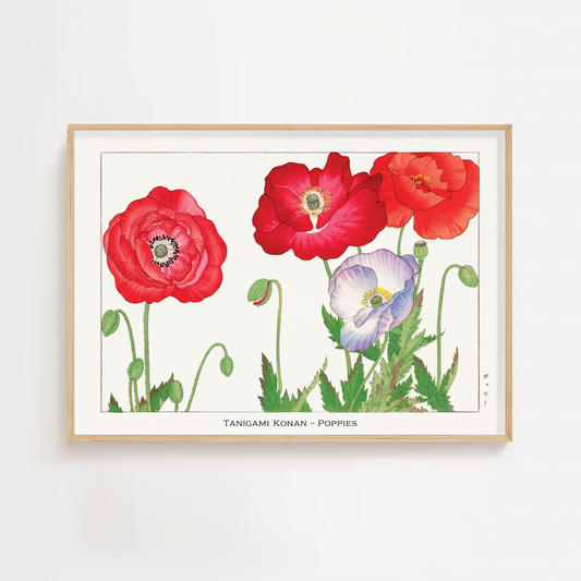 Poppy Art Print – Japanese Wall Art