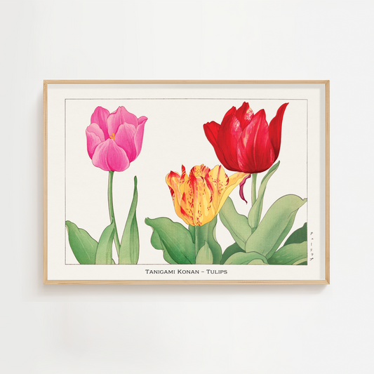 Tulip Art Print – Japanese Wall Art