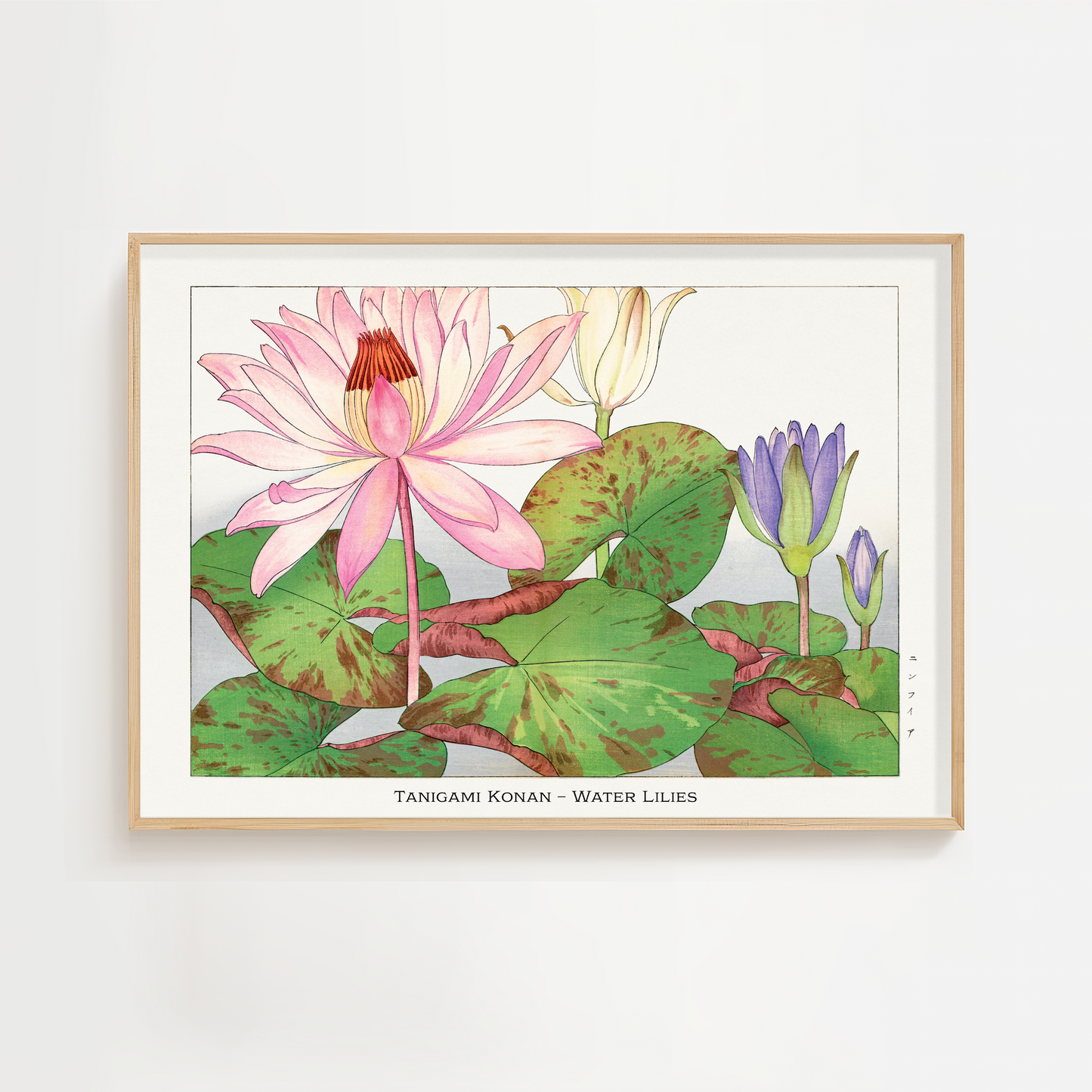 Water Lily Art Print – Japanese Wall Art