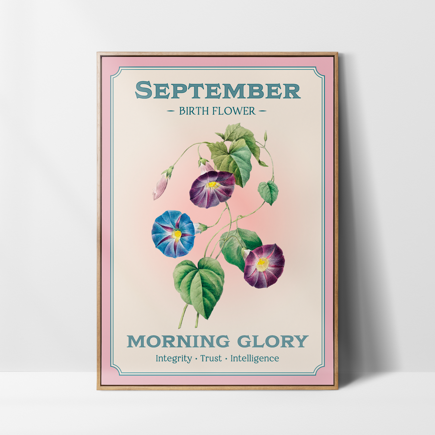 September Birth Flower Print – Morning Glory Art
