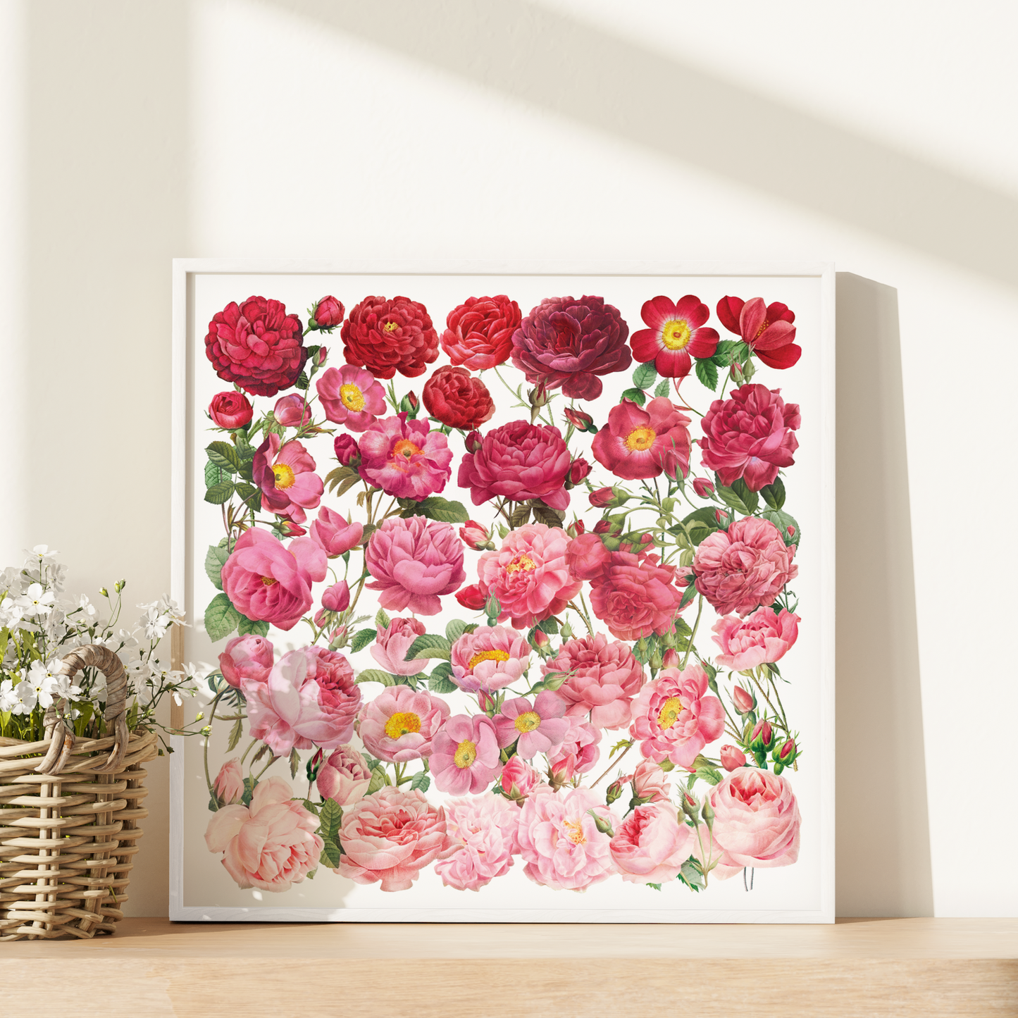 Ombre Roses – Square Giclée Art Print