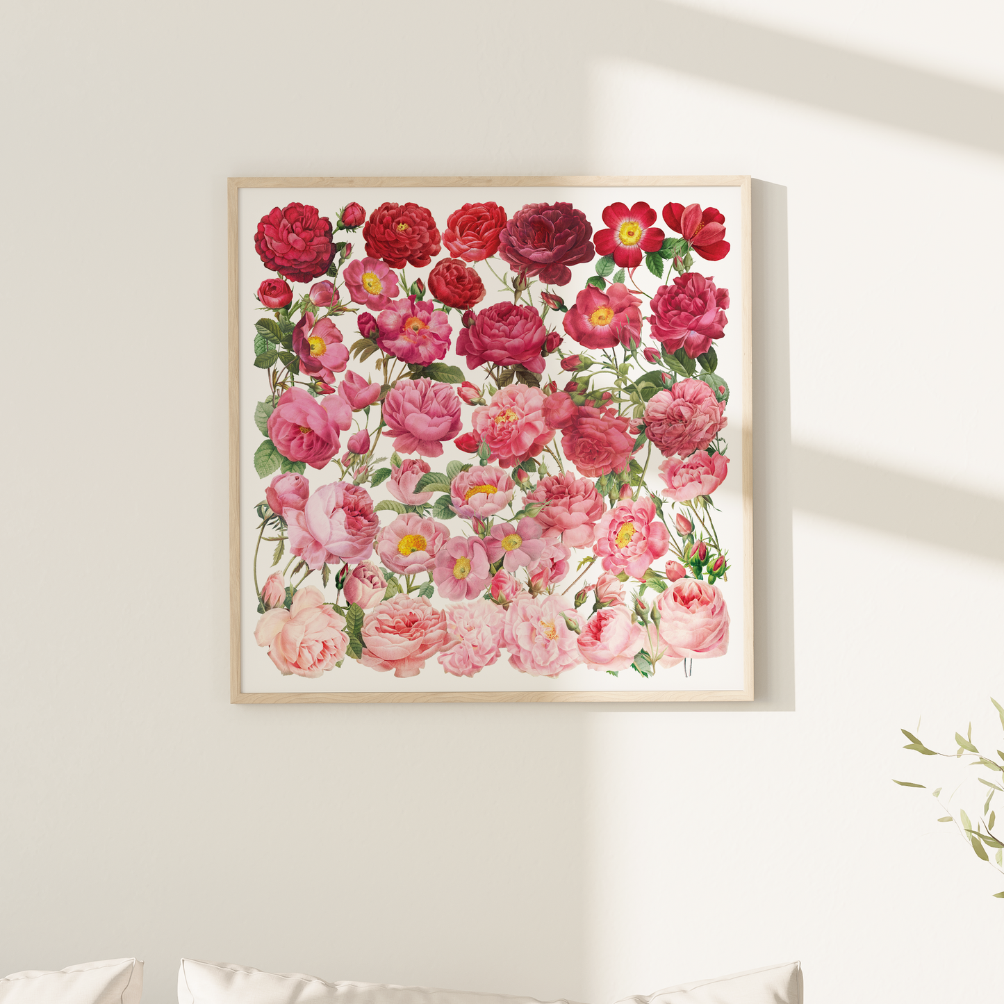 Ombre Roses – Square Giclée Art Print