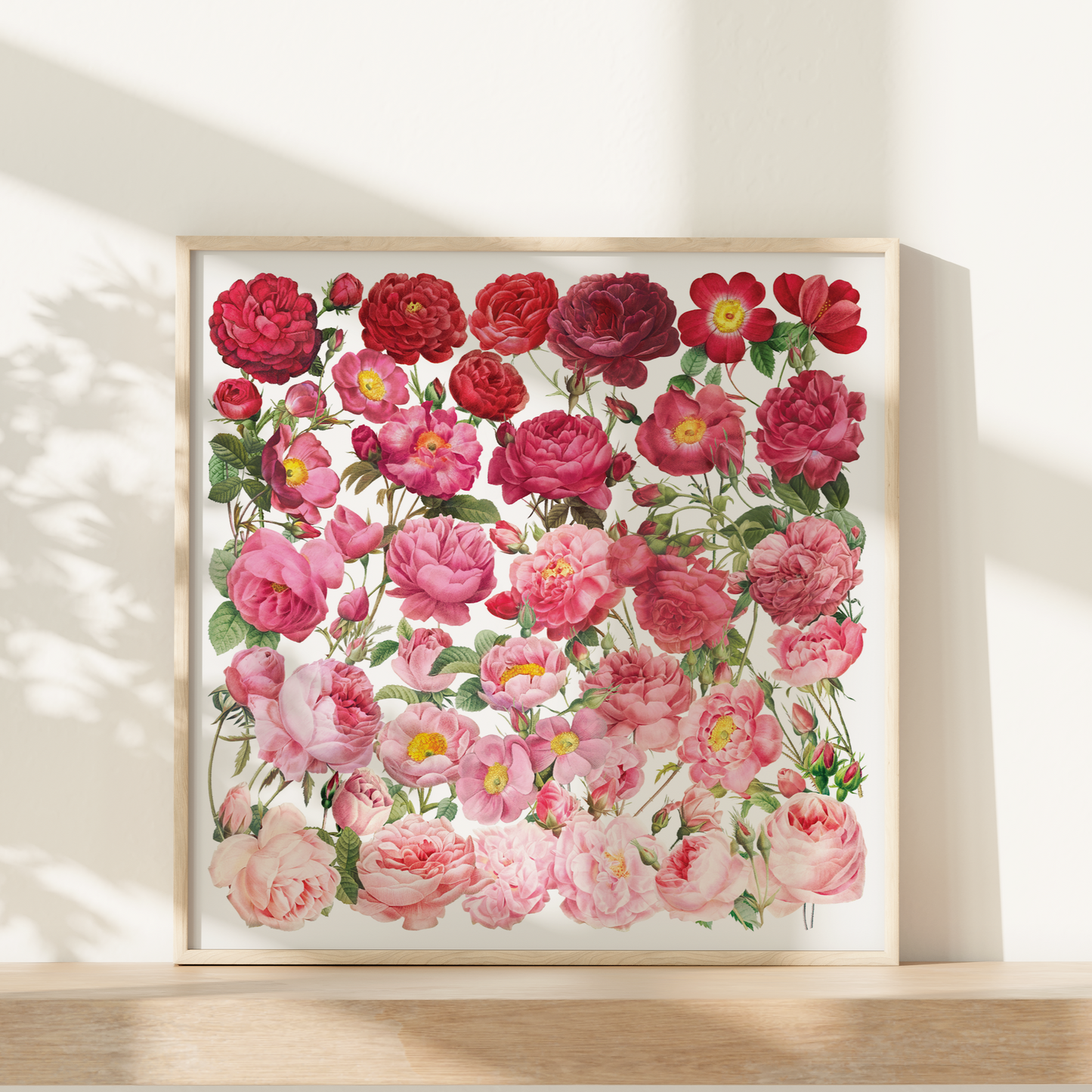 Ombre Roses – Square Giclée Art Print