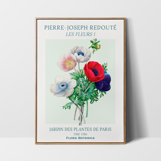 Pierre Joseph Redouté Les Fleurs I – Anemone Art Print