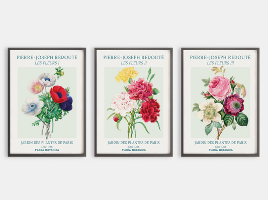 Pierre Joseph Redouté – Les Fleurs Art Print Trio