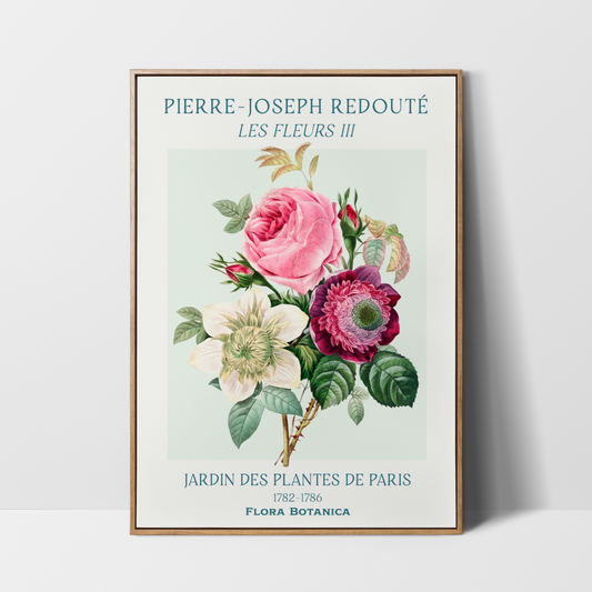 Pierre Joseph Redouté Les Fleurs III – Rose, Anemone and Clematis Print