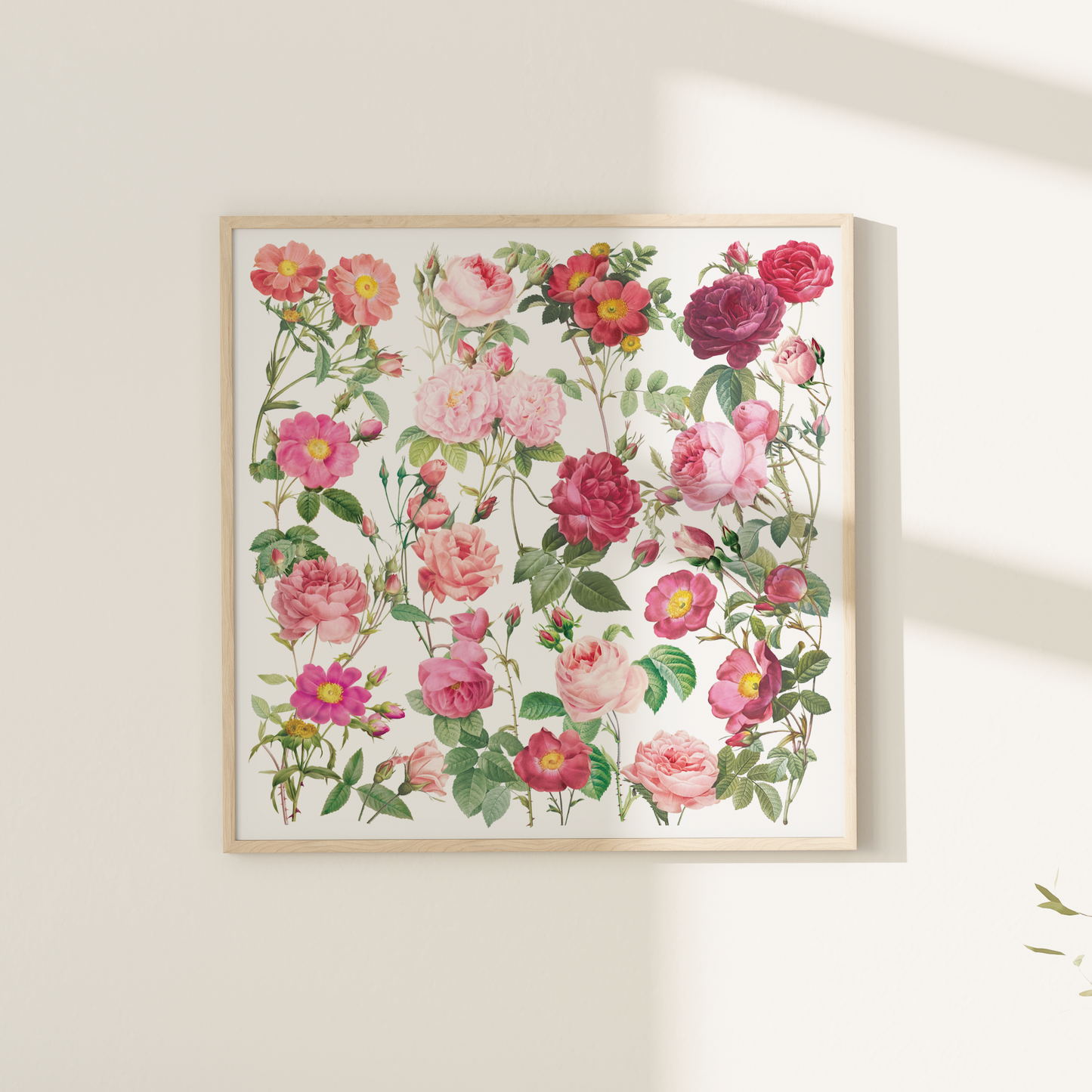 Garden Roses – Square Giclée Art Print